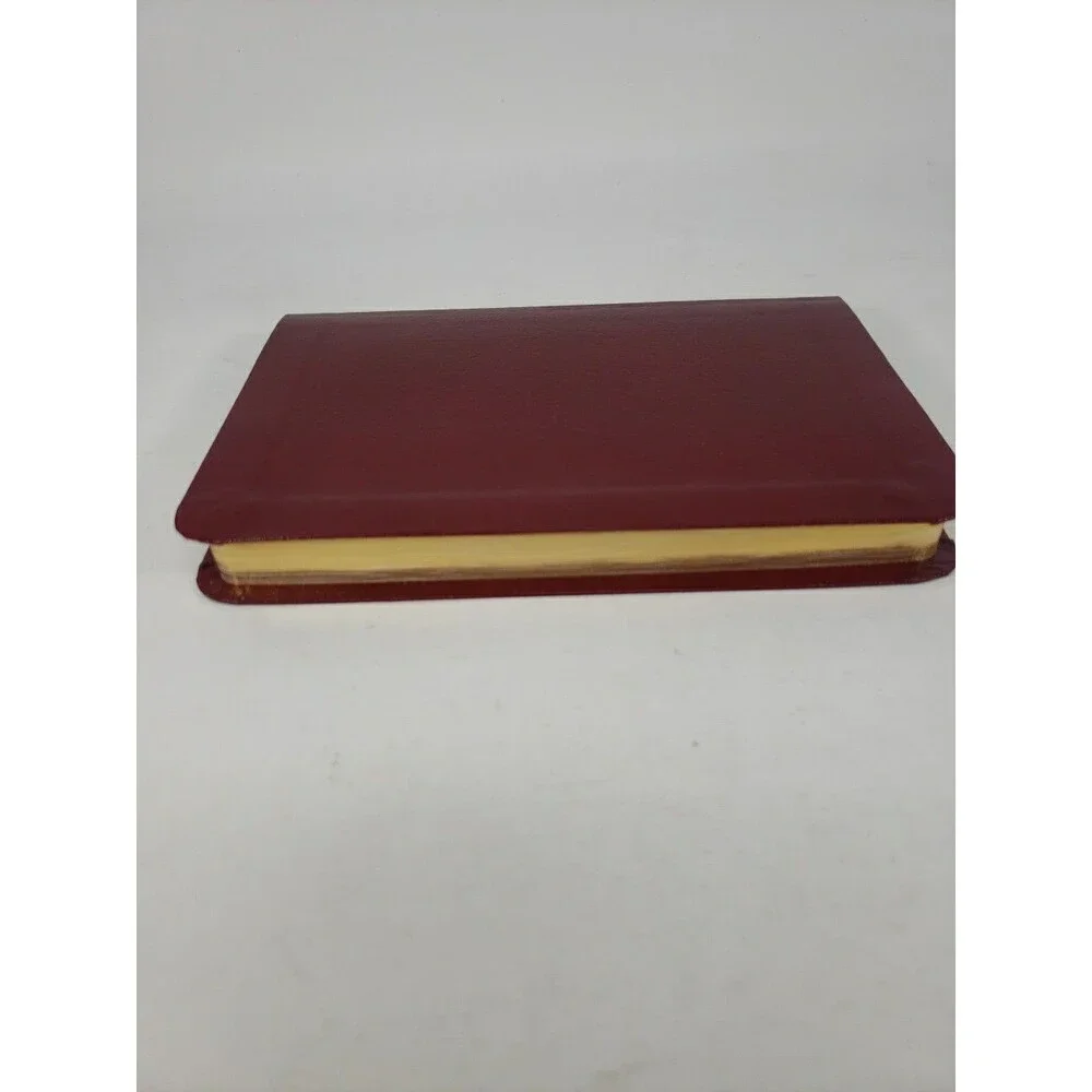 It's Alive! NLT by Tyndale House Bible (2003, Bonded Leather) Burgundy Box